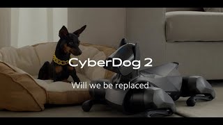 CyberDog 2 de Xiaomi  Seamos amigos del futuro [upl. by Vershen885]