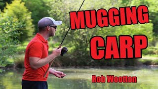 CATCH CARP SHALLOW  MUGGING  Rob Wootton muggingdobbing carp on the waggler and pole [upl. by Suissac]