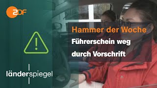 Führerschein futsch nach sechs Monaten  Hammer der Woche vom 251123  ZDF [upl. by Hakceber]