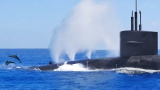 US Submarine Diving Like a Blue Whale During Race With Dolphins [upl. by Ahsea]