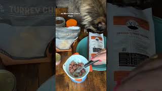 Raw Cat Food  Feed My Maine Coon Cat  Raw Cat Food Diet  Maine Coon shorts cat catfood [upl. by Refitsirhc]