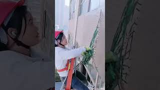 Painting the façade in the air [upl. by Cornwall]