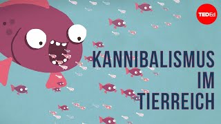 Kannibalismus im Tierreich – Bill Schutt [upl. by Suired]