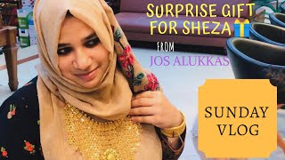 Sunday VlogSurprise Gift for ShezaJos AlukkasChicken Majboos Recipe [upl. by Polloch5]