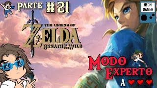 The Legend Of Zelda Breath Of The Wild  Modo Experto  Parte 21 DLC  Gameplay en Español [upl. by Rolat]