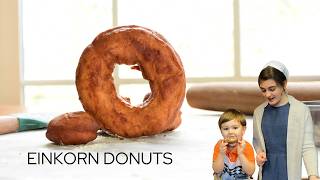 Easy and Delicious Einkorn Donuts  In The Kitchen with Kaitlyn [upl. by Dhruv]