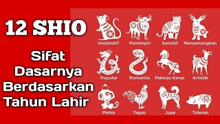 Ini Dia  Sifat amp Karakter Dari 12 Shio Dalam Astrologi Chinese Zodiac Berdasarkan Tahun Kelahiran [upl. by Kinch]