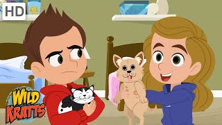 Are You a Cat Person or a Dog Person  Wild Kratts [upl. by Ogires]