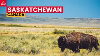 Canada Road Trip Best Things To Do In Saskatchewan [upl. by Ynor]