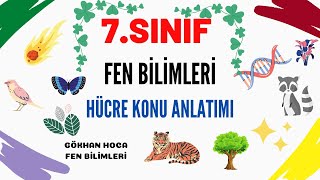 7Sınıf Hücre Konu Anlatımı [upl. by Elwood192]