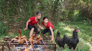 Adventure in forest Catch and cook two chicken for survival food  Chicken spicy roasted for dinner [upl. by Aicela798]