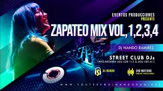 MIX ZAPATEO VOL 1 SONIDO POWER MUSIC [upl. by Olegnad]