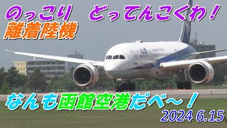 のっこり どってんこくわ！ 離着陸機 なんも函館空港だべ～！ 2024615 [upl. by Llerrit]