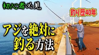 【釣り】達人おじぃが絶対にアジを釣る方法教えてくれた！そして大物が来た 【初心者必見】 [upl. by Particia]