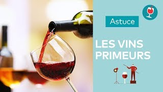 Questce que les vins primeurs   Les astuces du Petit Ballon [upl. by Rehpotsirc]