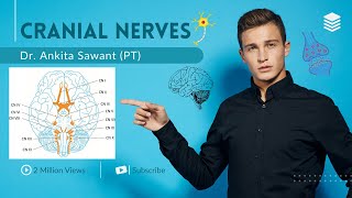 The 12 Cranial Nerves [upl. by Moir]