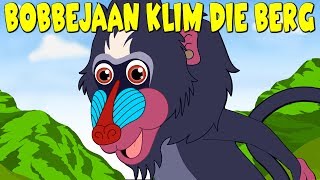 Bobbejaan Klim die Berg  Afrikaans Traditional Song for kids  Afrikaanse Kinderliedjies [upl. by Chadwick]