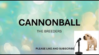 CANNONBALL BY THE BREEDERS LYRICS [upl. by La]