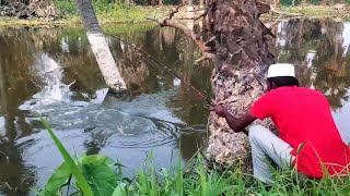 Catching fish with hook  amazing catch fishing videos  fish hunting videos [upl. by Mide]