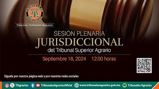 180924  Sesión Plenaria Jurisdiccional [upl. by Abihsat86]