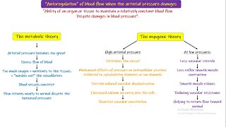 Metabolic Theory Myogenic Theory Chapter 17 part 5 Guyton and Hall Physiology [upl. by Acirej]