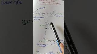 Mechanism Grignard Reaction with Esterneet2023 12boardexam organicchemistry [upl. by Aihtenyc]