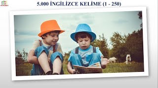 5000 İNGİLİZCE KELİME  RESİMLİ VE SESLİ  1  250 [upl. by Painter]