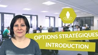 Les options stratégiques  introduction  Management  digiSchool [upl. by Enaerb]