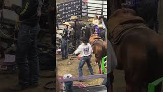 Cinch Playoffs Didn’t Disappoint shadmayfield haileykinsel rodeo horse nfr [upl. by Subocaj]