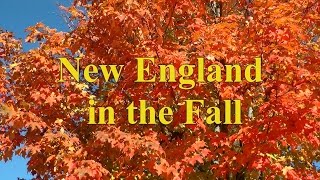 A Tour Around New England to View the Fall Colors  Autumn Colour [upl. by Desmund449]