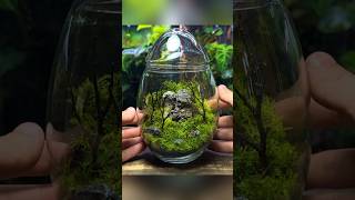 Building an Ecosystem In a Glass Egg [upl. by Annabel]