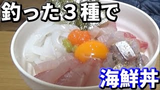 離島で釣ったヒラマサとアオリイカとアジで豪華海鮮丼！ [upl. by Amitarp880]