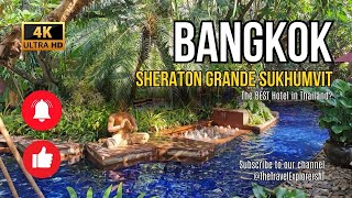 Sheraton Grande Sukhumvit Bangkok Hotel Review  Luxury Stay in Bangkok [upl. by Weisbart646]