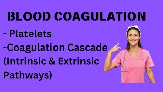 Blood coagulation Cascade  Platelets  Extrinsic and Intrinsic Pathway  Coagulation Cascade [upl. by Ardeed]