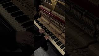 Rauf ampFaik Vechera  Piano piano music pianocover rauffaik [upl. by Anirdna]