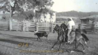 RODEO CALF ROPING AUBURN CA SEMAS RANCH 1960S [upl. by Dimitris186]