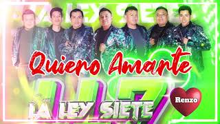 GRUPO LA LEY 7  Quiero Amarte  Cumbia Sonidera 2024 [upl. by Rayford502]