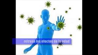 Suplemento RESVERATROL  Beneficios [upl. by Buller630]