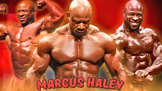 IFBB Professional Bodybuilder  Marcus Haley  The 2010 Mr Olympia  2013 Arnold Classic [upl. by Regen474]