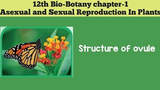 12th biobotany chapter1 Asexual And Sexual Reproduction In Plants STRUCTURE OF OVULE [upl. by Dlared113]