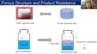 Sensitivity of Lyophilization Rate and Porous Structure to Small Changes in Freezing [upl. by Lynde]