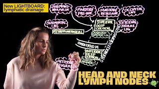 Lymph Node Groups and Drainage of the Head and Neck [upl. by Lerak]