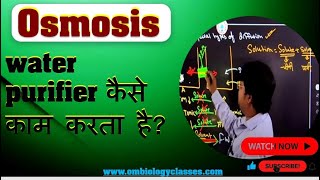 Diffusion osmosis and facilitated diffusioncellmembrane eukaryotic phagocytosis neet2024 [upl. by Helfant]