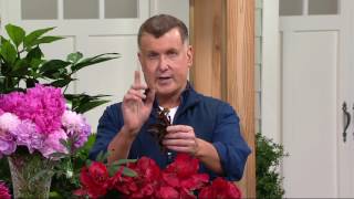 Robertas 3piece Perfume Princess Peony Collection on QVC [upl. by Kirat]