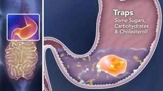 Metamucil Fiber Supplement products drugstorecom [upl. by Laidlaw]