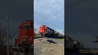 CN589 Through Sabourin Road Carlsbad Springs Ottawa Ontario shorts trainspotting trains [upl. by Alihs]