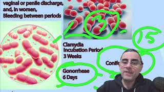 Understanding Chlamydia and Gonorrhea Key Differences and Similarities [upl. by Onirefes]