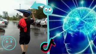 You Didn’t Have To Cut Me Off  IQ 000001   TikTok Compilation quotP3quot [upl. by Amiel]