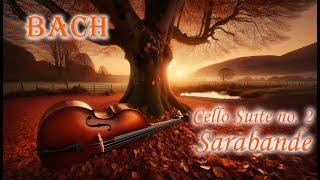 5ths tuning Bach cello suite no2 Sarabande [upl. by Tsai743]