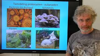 Biologie HV BB De indeling van de levende natuur [upl. by Eidissac]